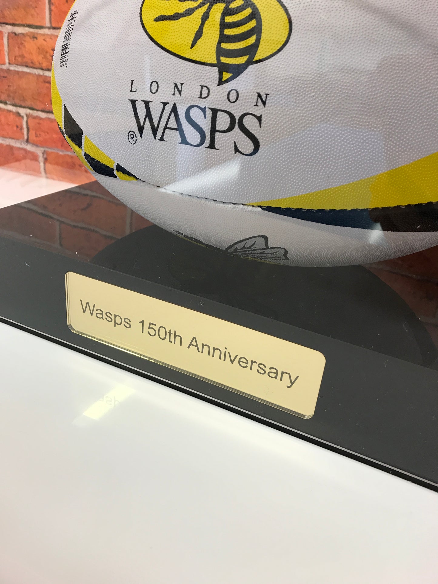 Rugby Display Case Landscape With Choice of Colour & Personalised Engrave Plaque