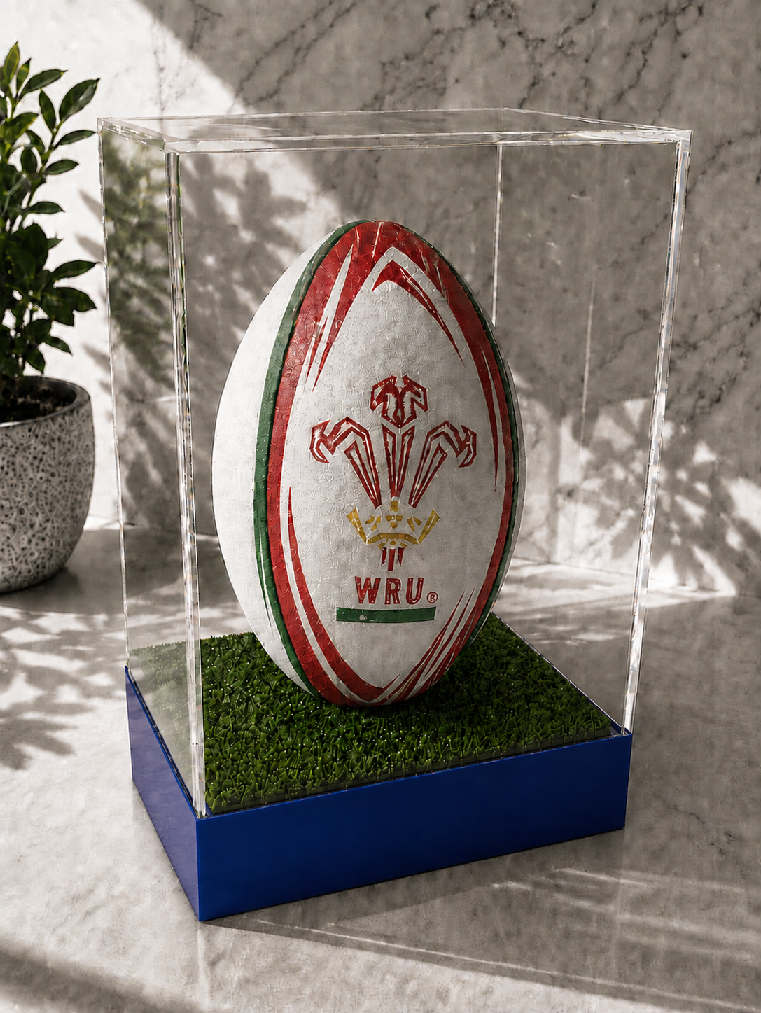 Rugby Display Case Portrait With Choice of Colour & Personalised Engrave Plaque