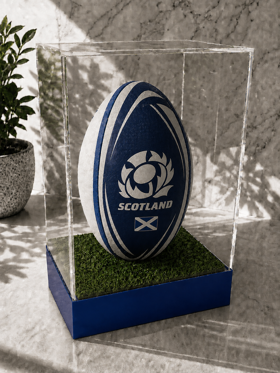 Rugby Display Case Portrait With Choice of Colour & Personalised Engrave Plaque
