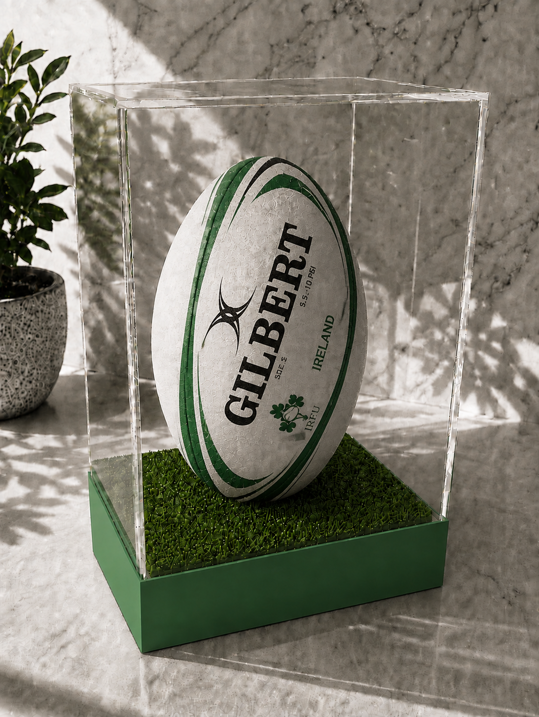 Rugby Display Case Portrait With Choice of Colour & Personalised Engrave Plaque