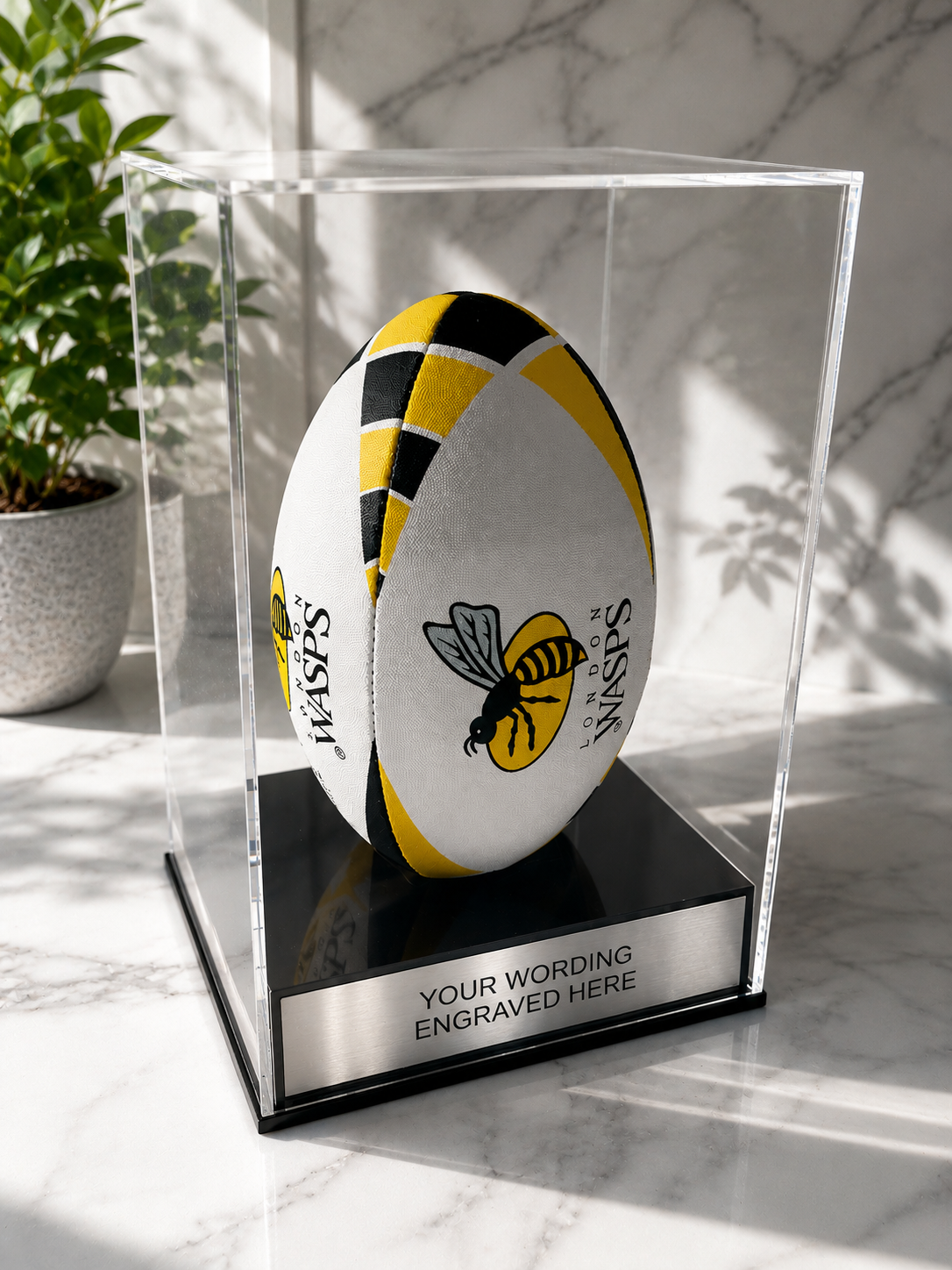 Rugby Display Case Portrait With Choice of Colour & Personalised Engrave Plaque