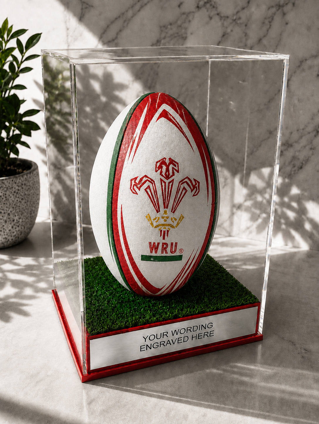 Rugby Display Case Portrait With Choice of Colour & Personalised Engrave Plaque