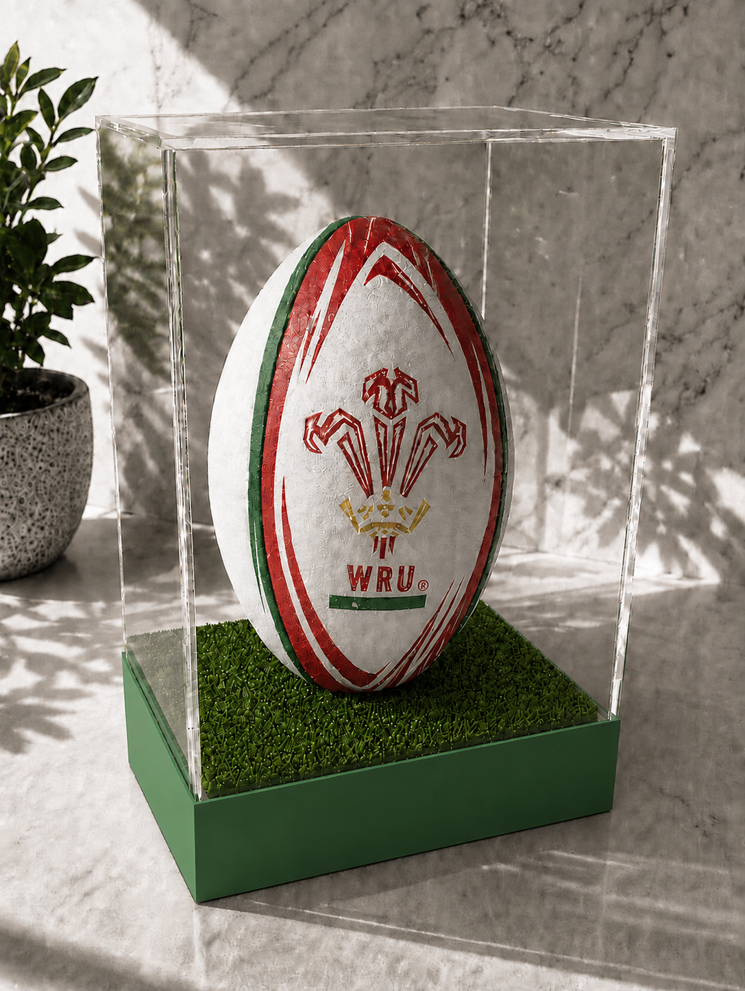 Rugby Display Case Portrait With Choice of Colour & Personalised Engrave Plaque