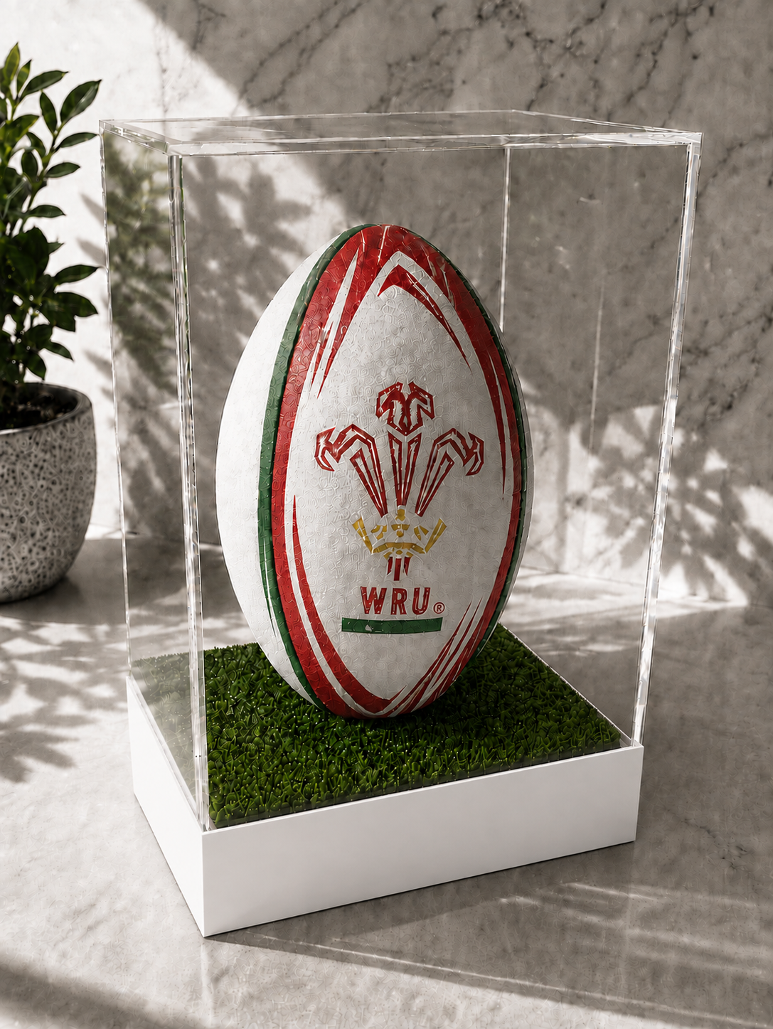 Rugby Display Case Portrait With Choice of Colour & Personalised Engrave Plaque