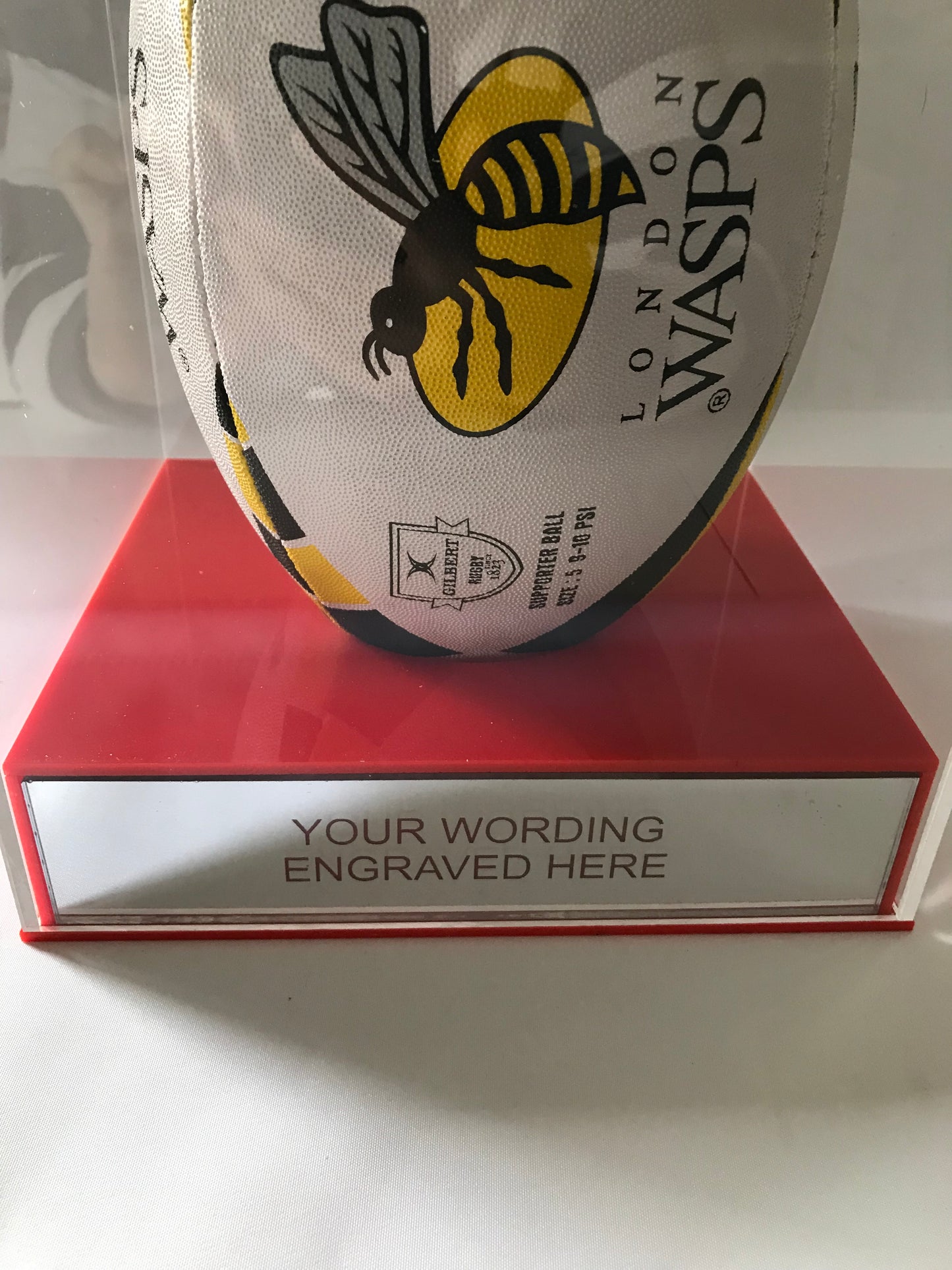 Rugby Display Case Portrait With Choice of Colour & Personalised Engrave Plaque