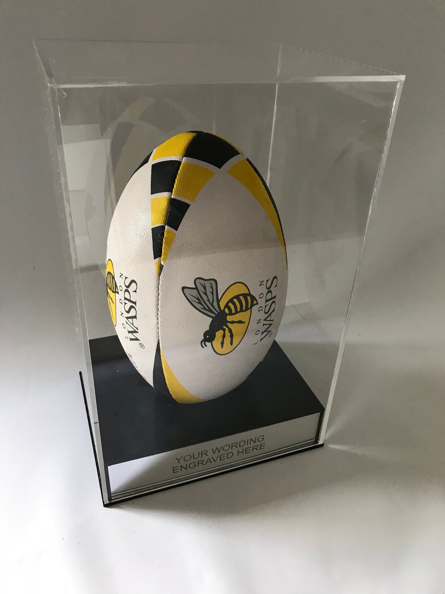 Rugby Display Case Portrait With Choice of Colour & Personalised Engrave Plaque