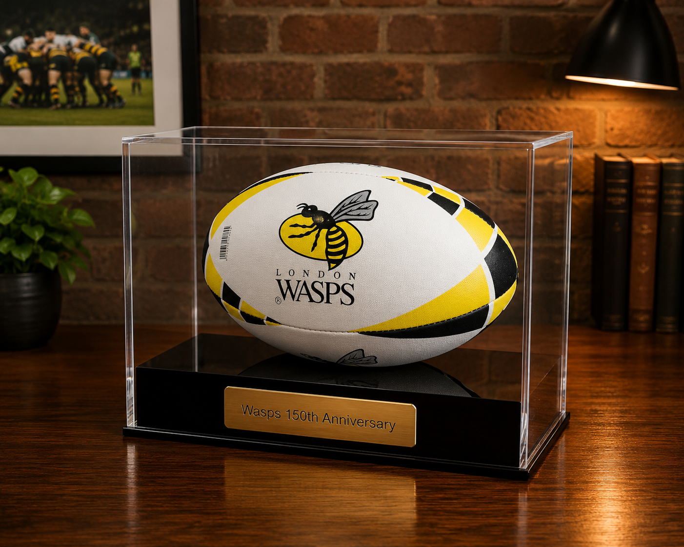 Rugby Display Case Landscape  With Choice of Colour & Personalised Engrave Plaque