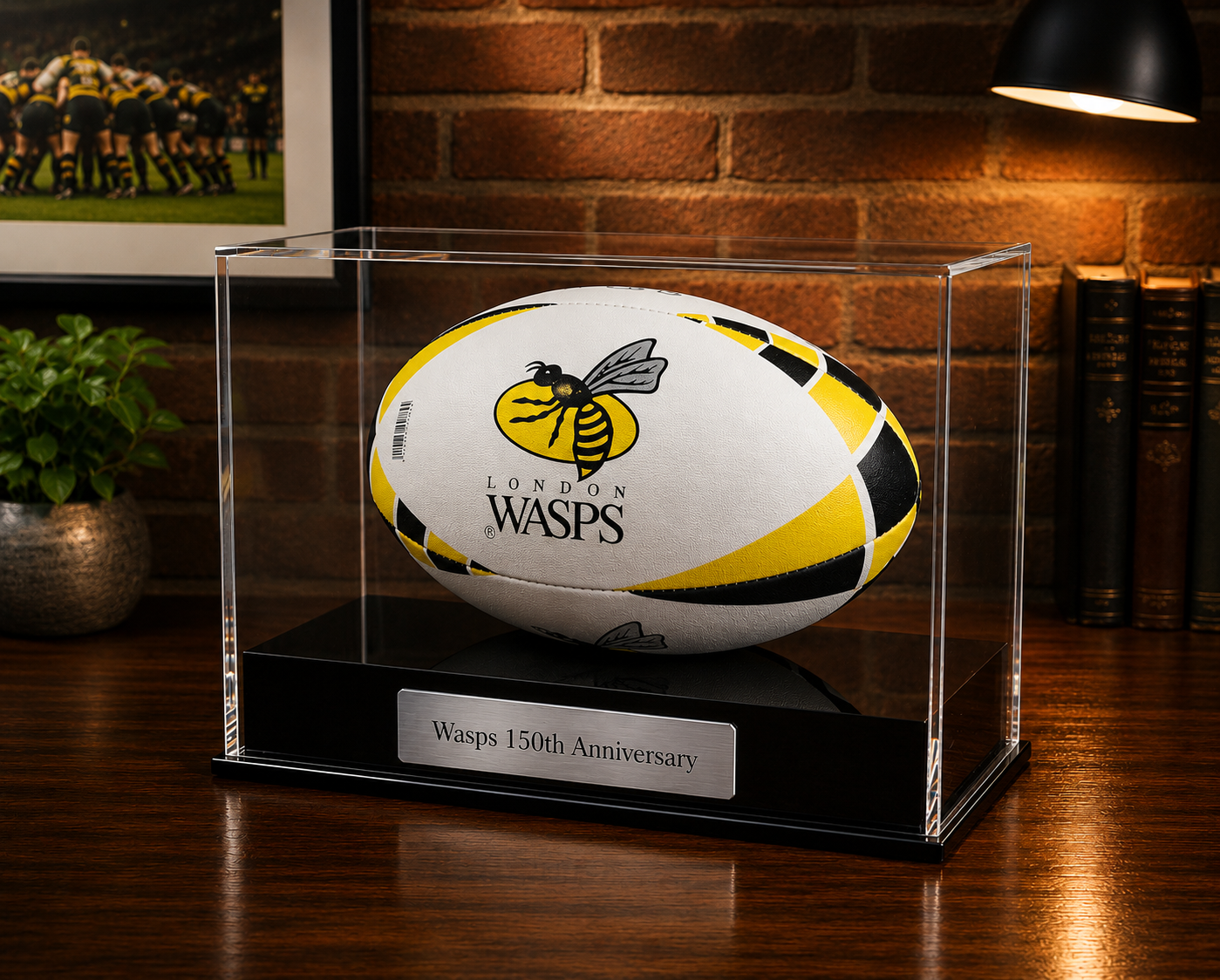 Rugby Display Case Landscape  With Choice of Colour & Personalised Engrave Plaque