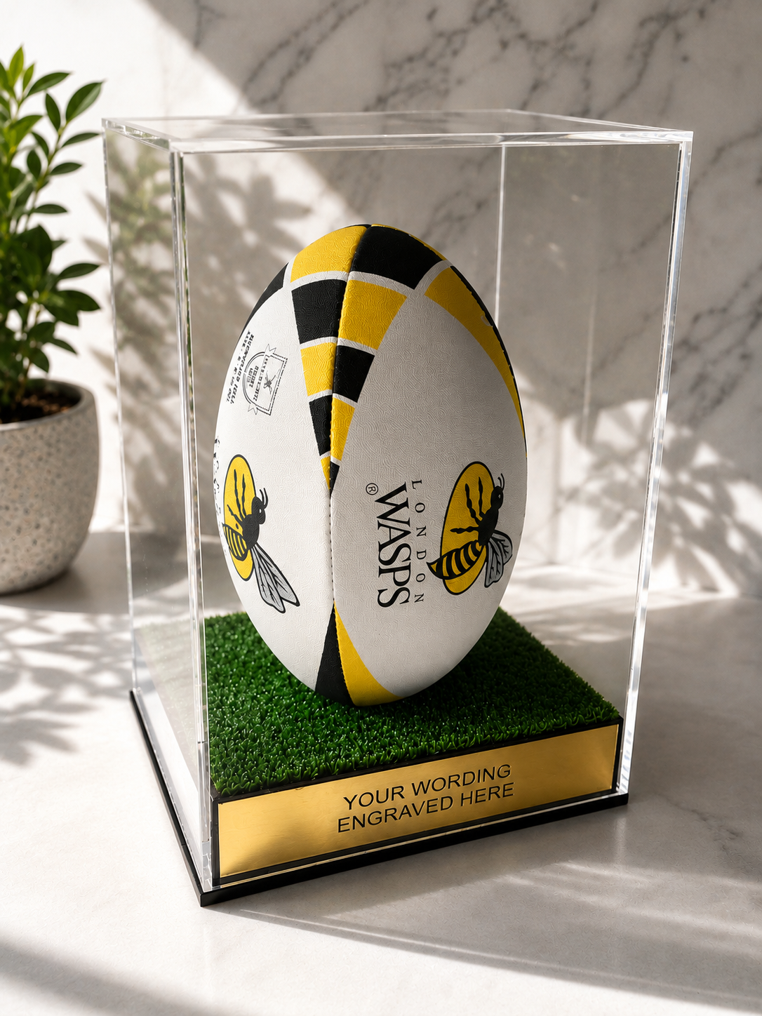 Rugby Display Case Portrait With Choice of Colour & Personalised Engrave Plaque