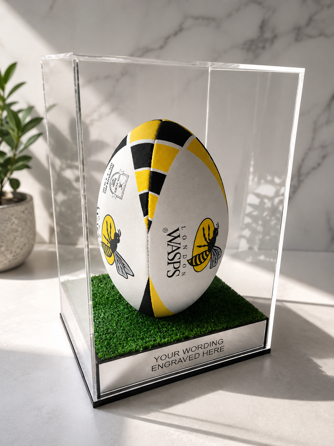 Rugby Display Case Portrait With Choice of Colour & Personalised Engrave Plaque