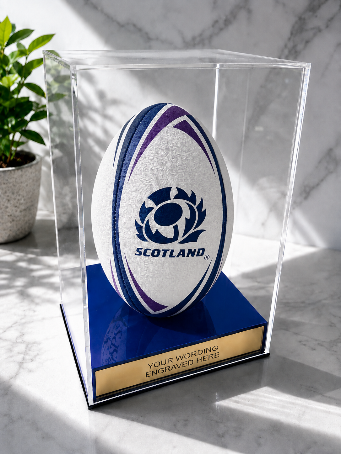 Rugby Display Case Portrait With Choice of Colour & Personalised Engrave Plaque