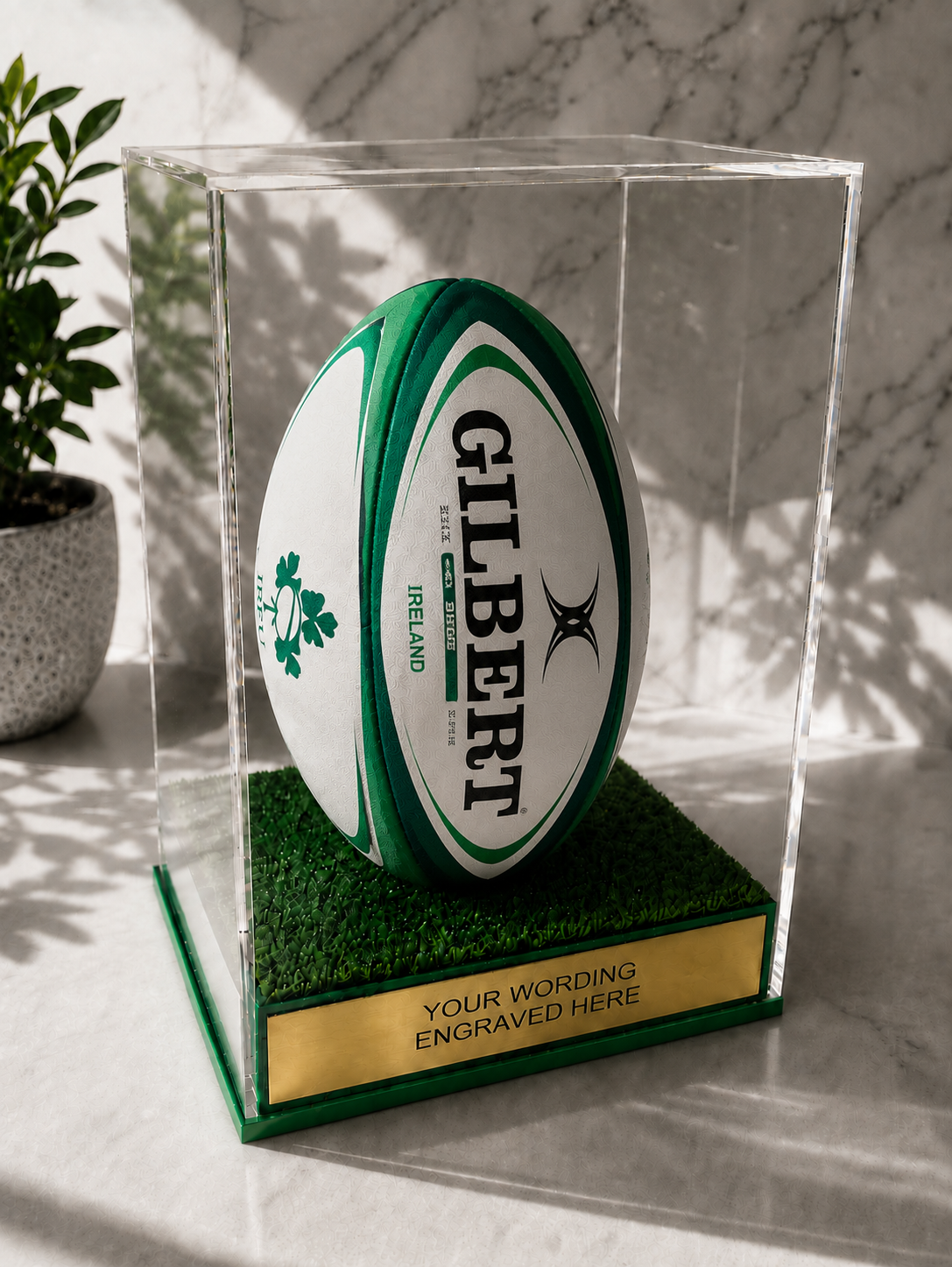 Rugby Display Case Portrait With Choice of Colour & Personalised Engrave Plaque