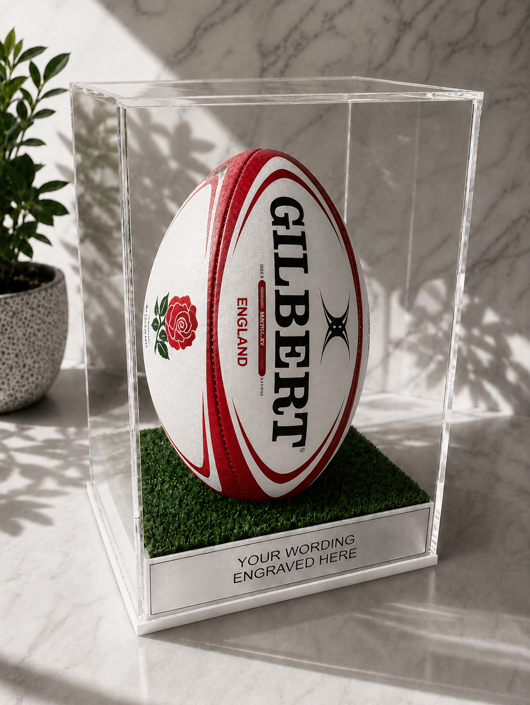 Rugby Display Case Portrait With Choice of Colour & Personalised Engrave Plaque