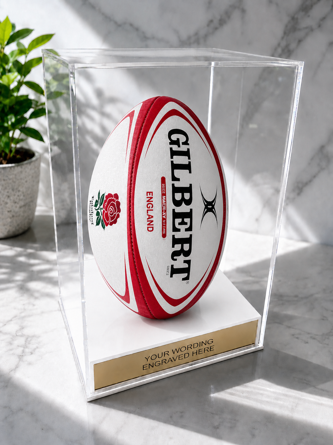 Rugby Display Case Portrait With Choice of Colour & Personalised Engrave Plaque