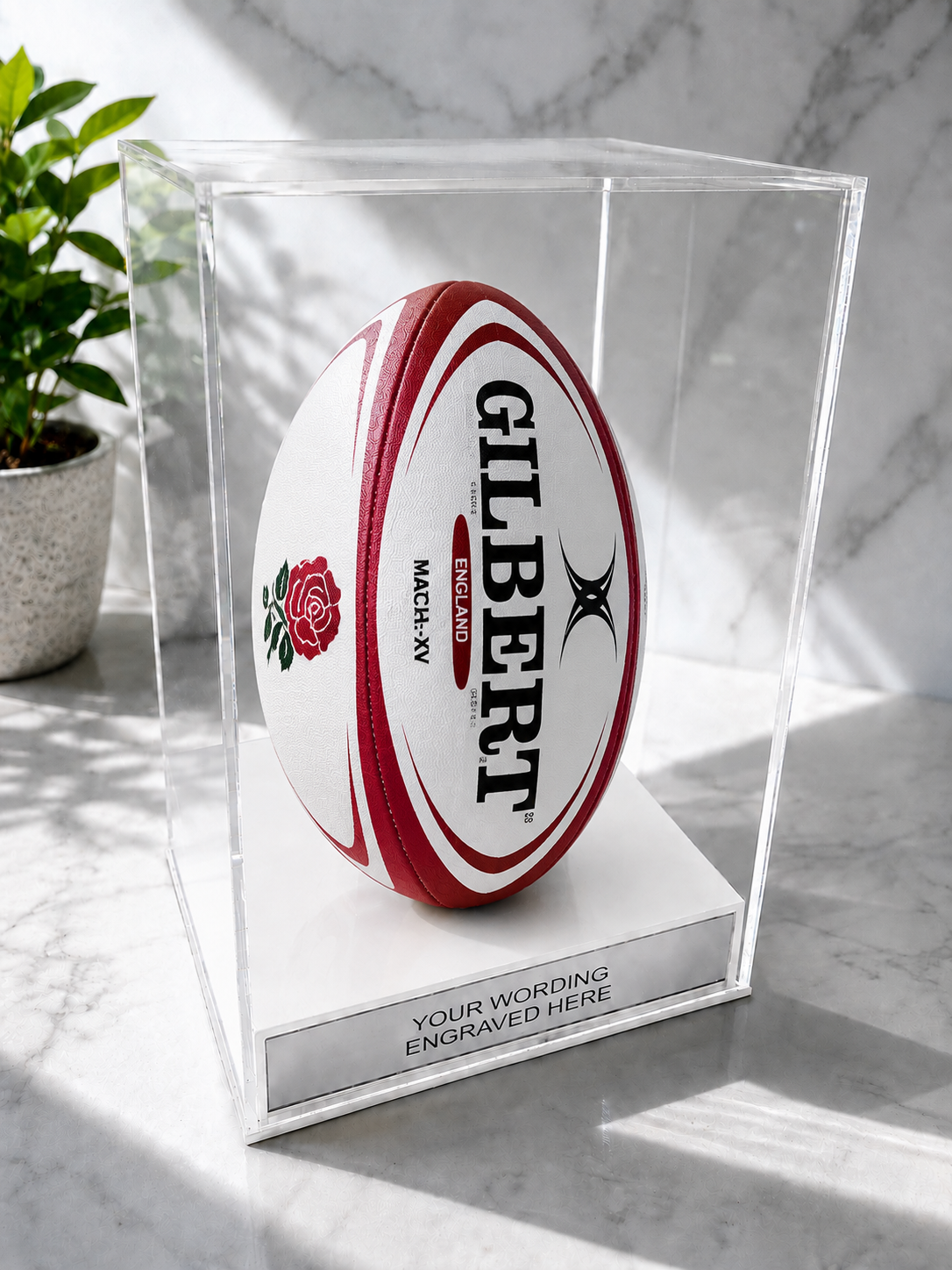 Rugby Display Case Portrait With Choice of Colour & Personalised Engrave Plaque