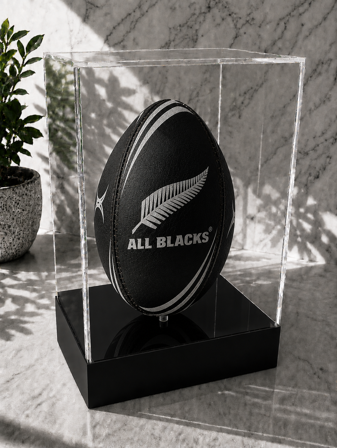 Rugby Display Case Portrait With Choice of Colour & Personalised Engrave Plaque