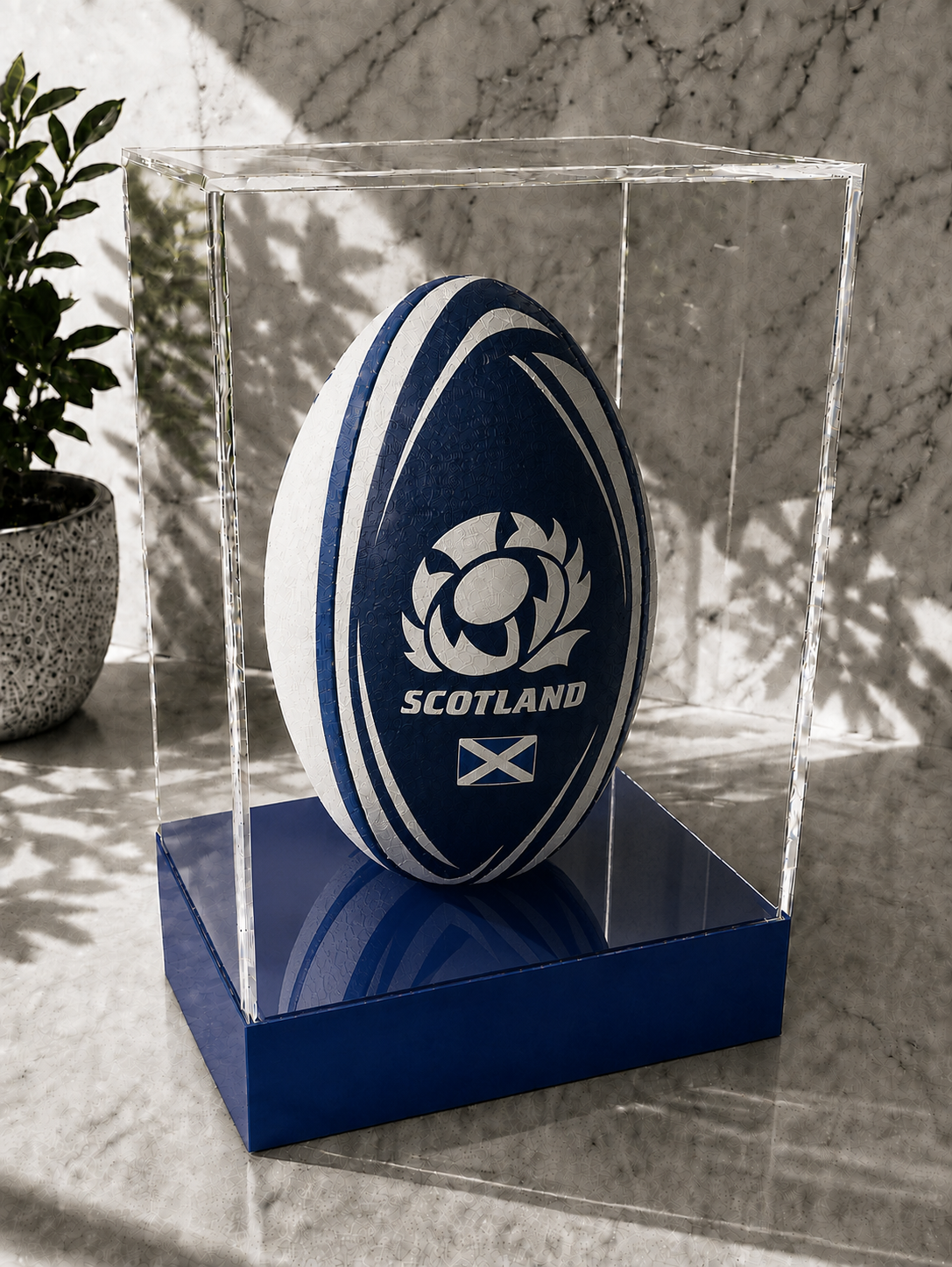 Rugby Display Case Portrait With Choice of Colour & Personalised Engrave Plaque