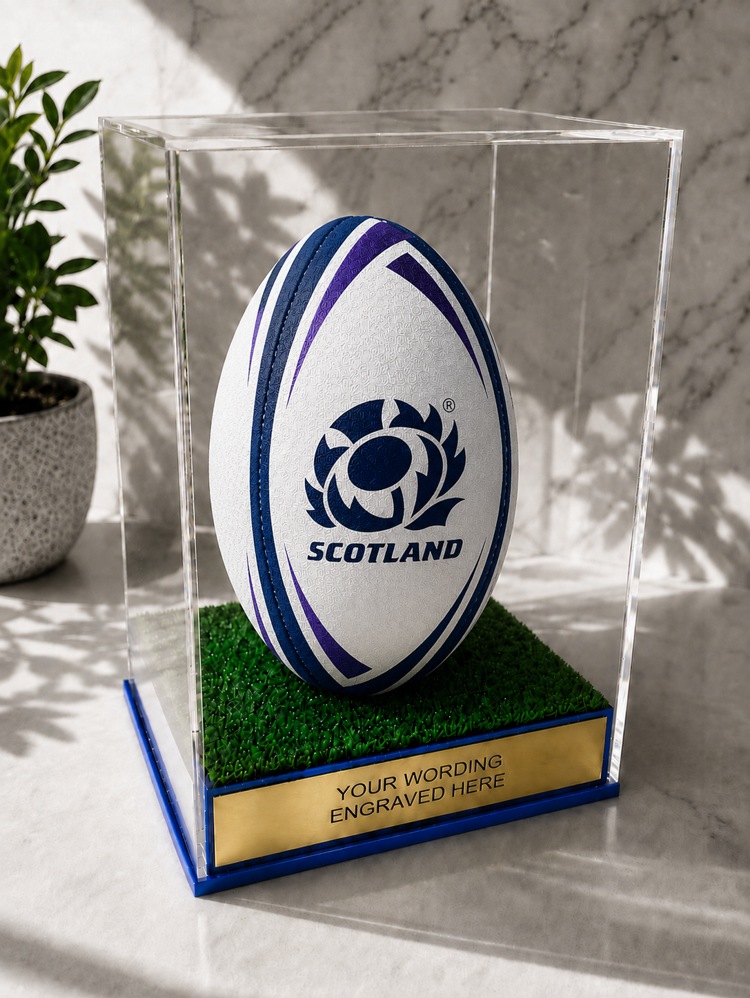 Rugby Display Case Portrait With Choice of Colour & Personalised Engrave Plaque