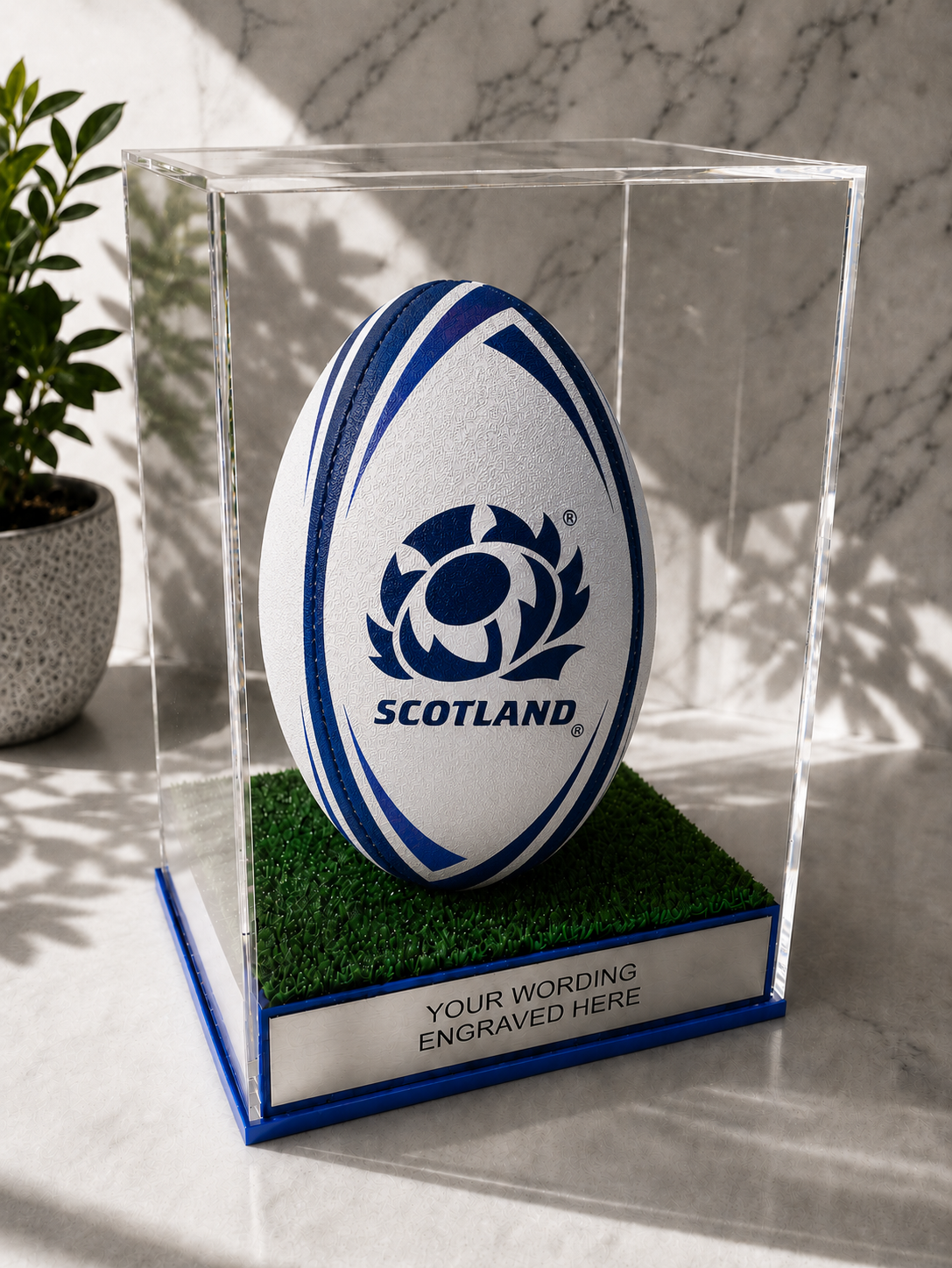 Rugby Display Case Portrait With Choice of Colour & Personalised Engrave Plaque