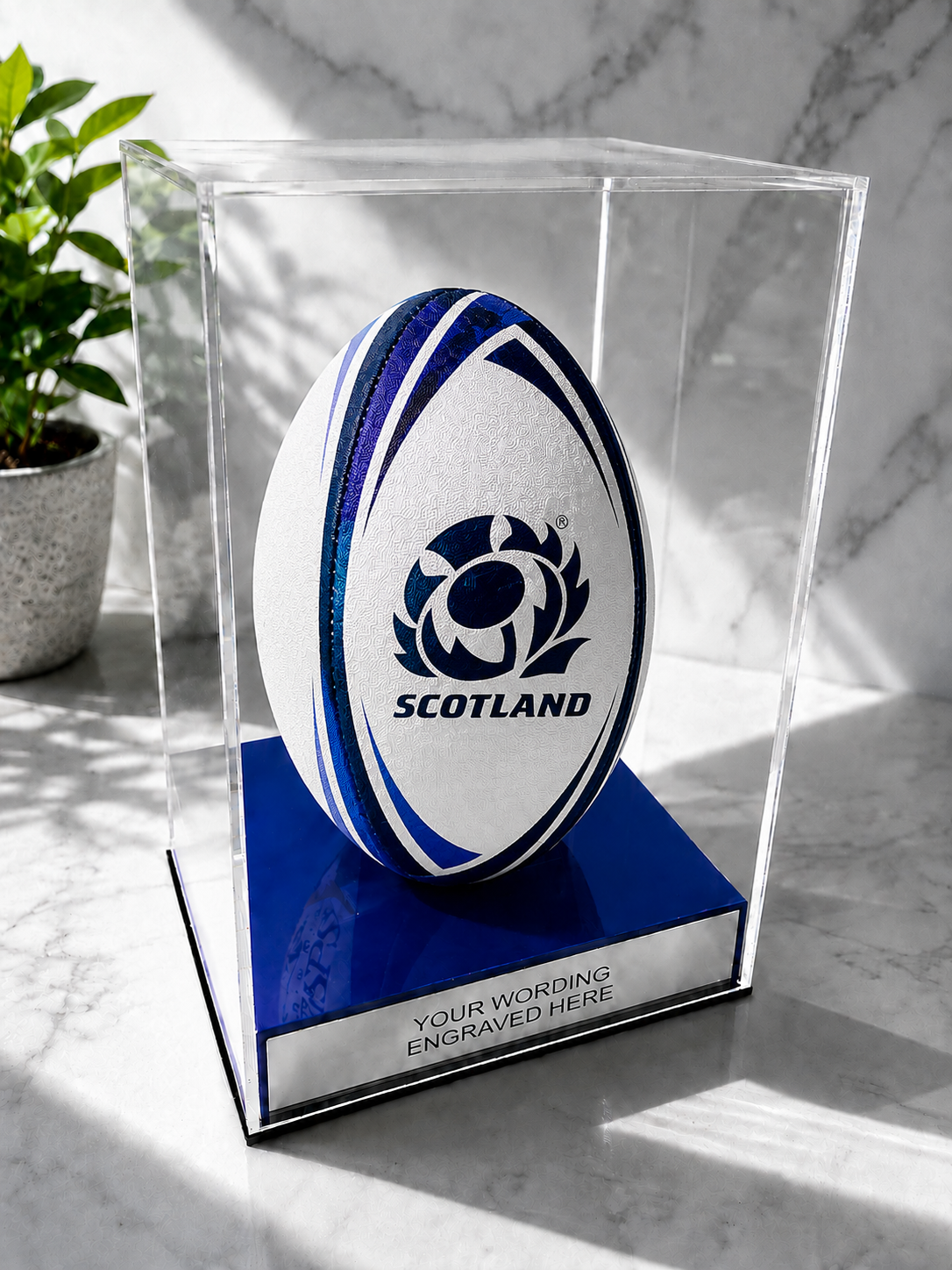 Rugby Display Case Portrait With Choice of Colour & Personalised Engrave Plaque