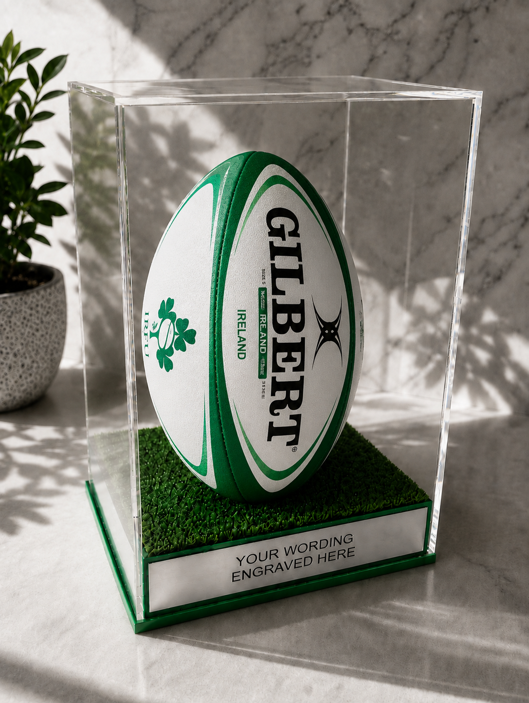 Rugby Display Case Portrait With Choice of Colour & Personalised Engrave Plaque