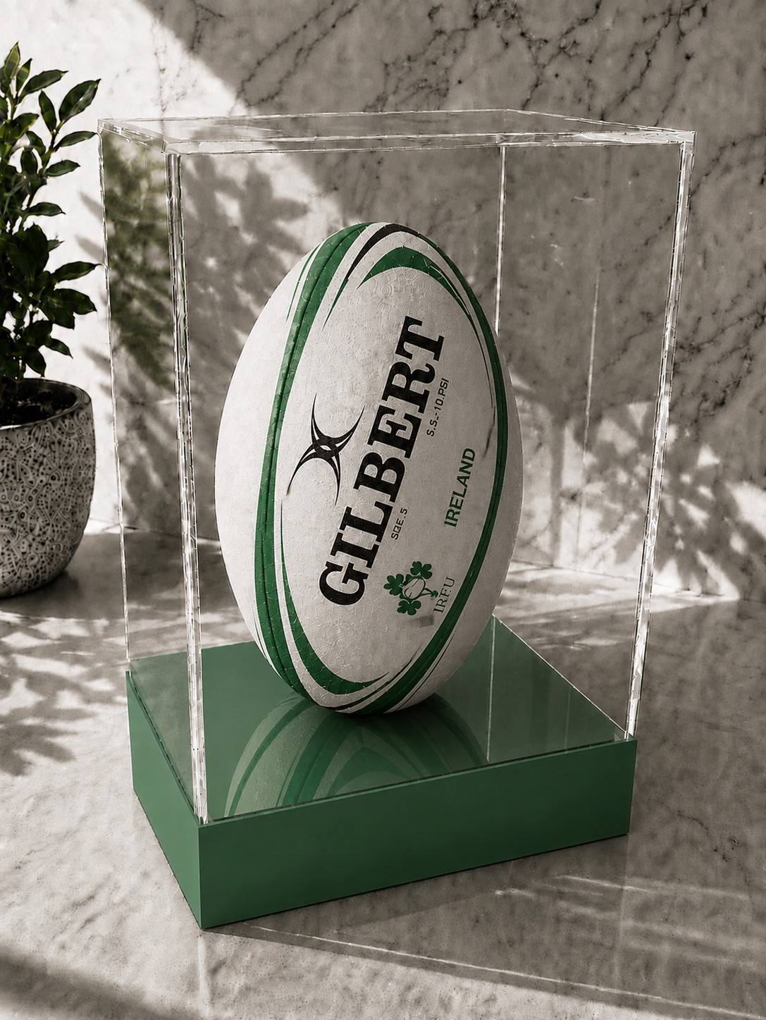 Rugby Display Case Portrait With Choice of Colour & Personalised Engrave Plaque