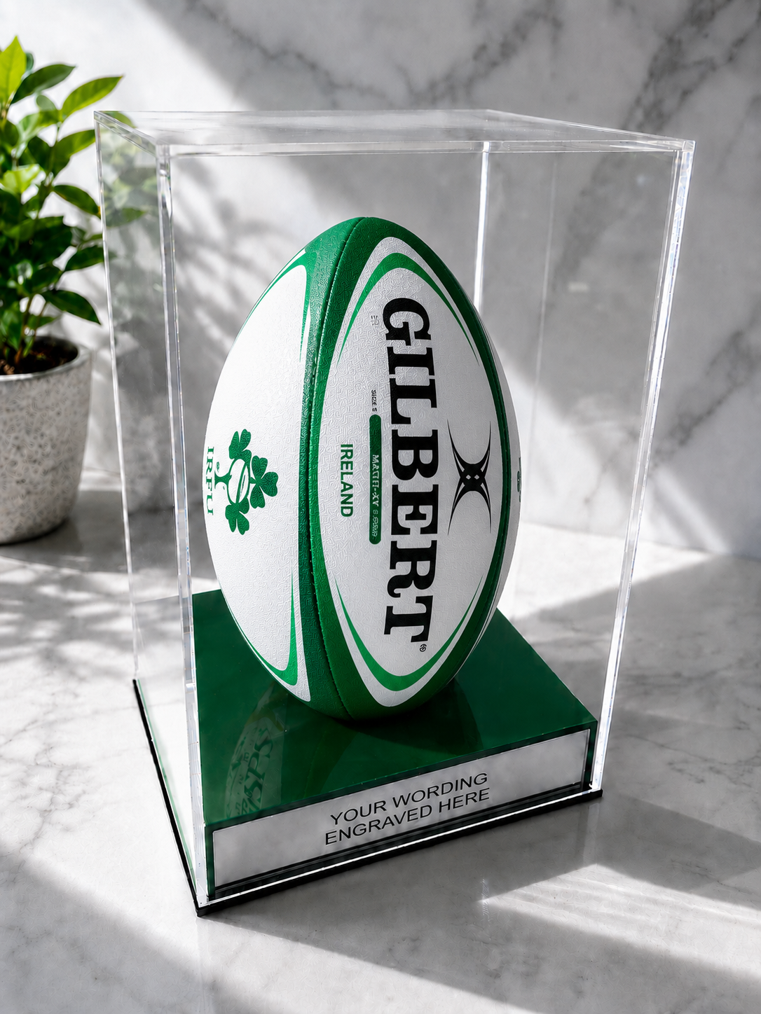 Rugby Display Case Portrait With Choice of Colour & Personalised Engrave Plaque