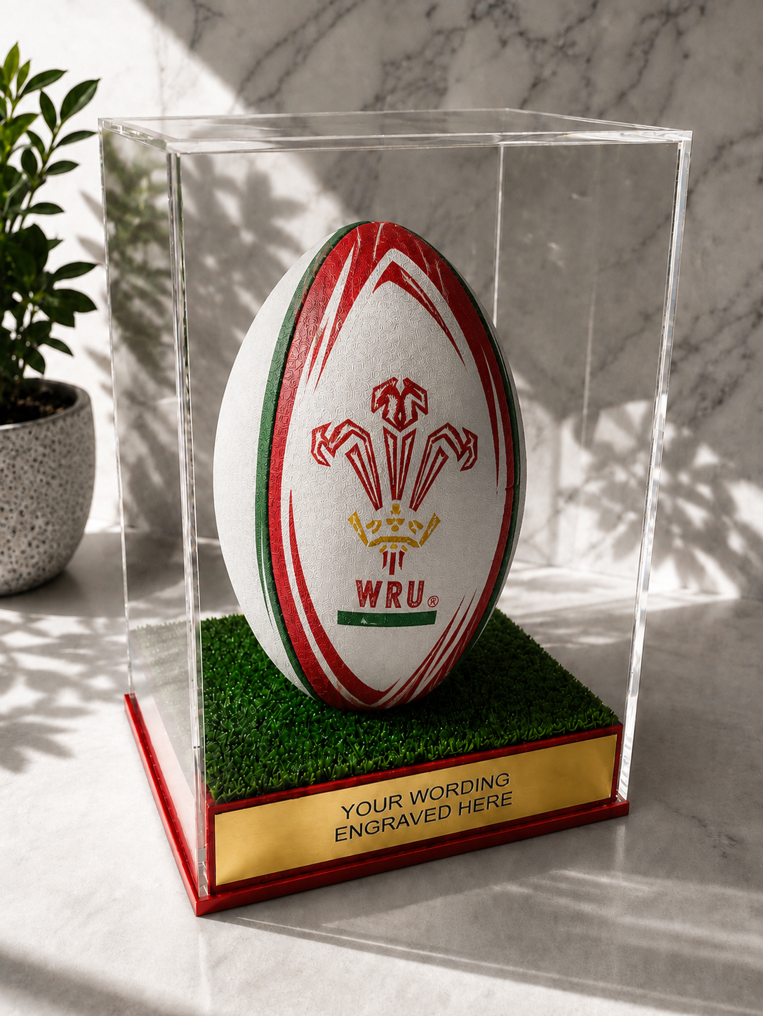 Rugby Display Case Portrait With Choice of Colour & Personalised Engrave Plaque