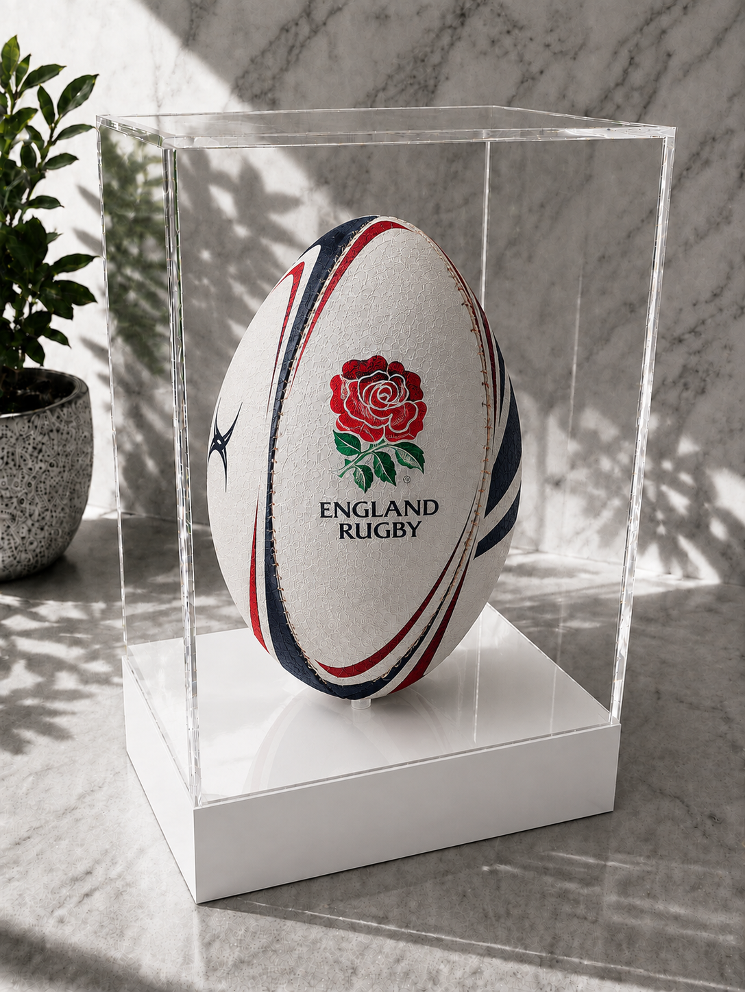 Rugby Display Case Portrait With Choice of Colour & Personalised Engrave Plaque