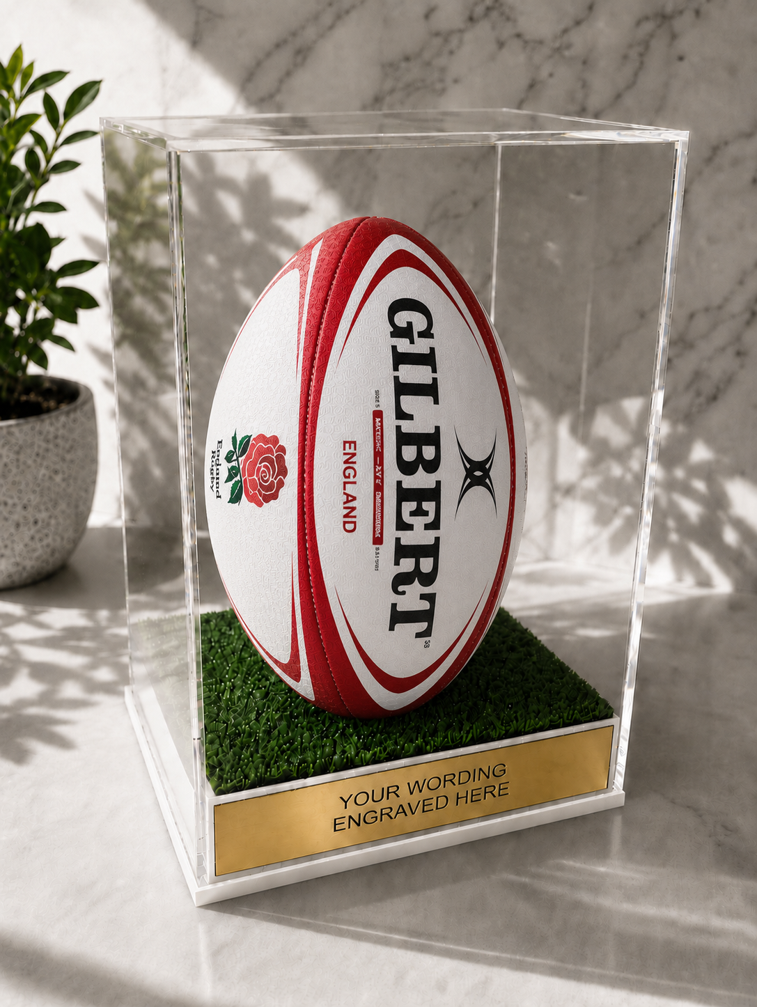 Rugby Display Case Portrait With Choice of Colour & Personalised Engrave Plaque