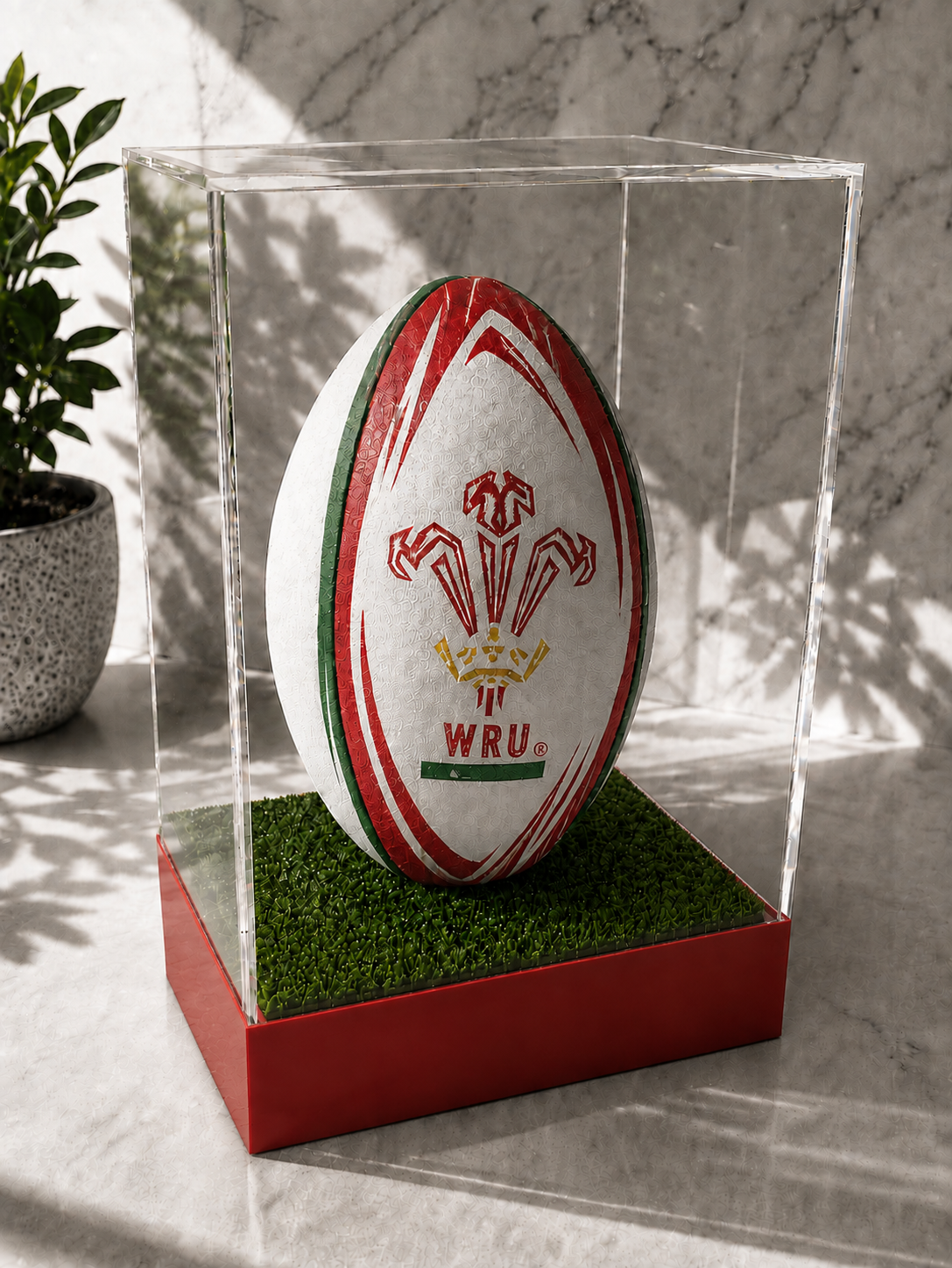 Rugby Display Case Portrait With Choice of Colour & Personalised Engrave Plaque