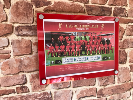 Poster Holder Quality 2 piece wall mount memorabilia holder.