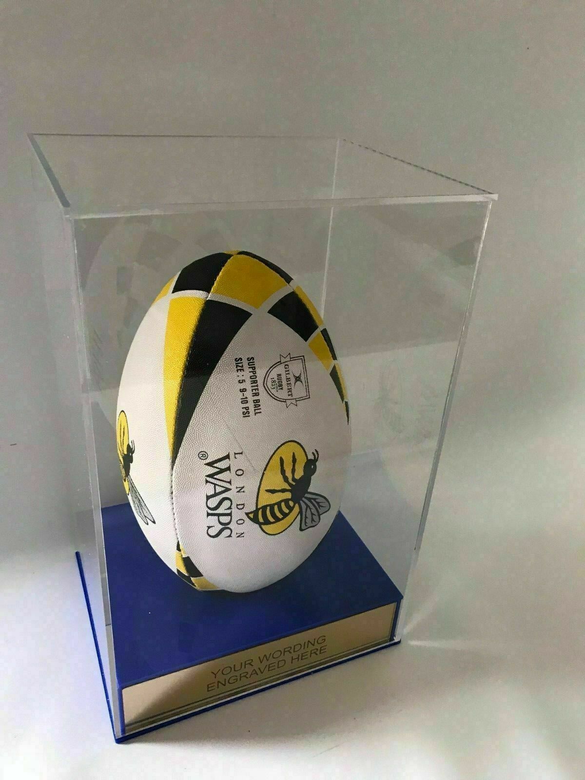 Rugby Display Case Portrait With Choice of Colour & Personalised Engrave Plaque