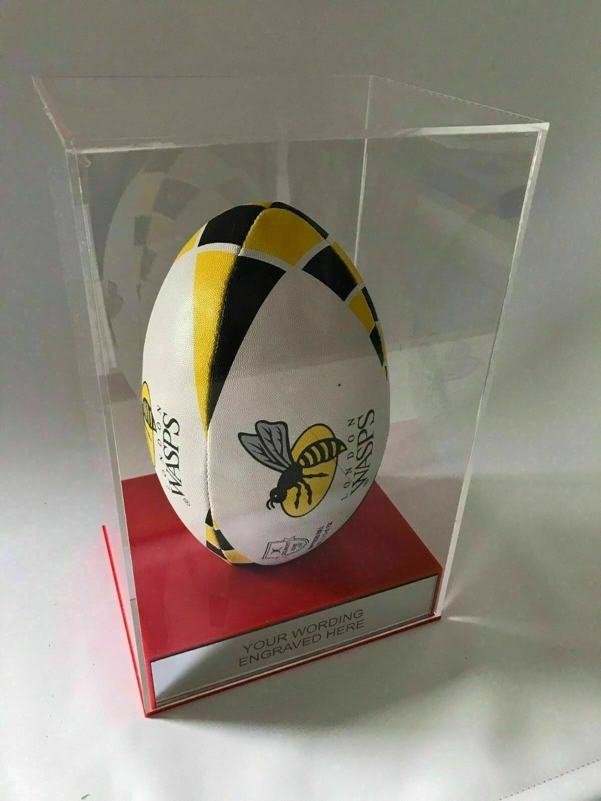 Rugby Display Case Portrait With Choice of Colour & Personalised Engrave Plaque